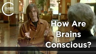 Dean W. Zimmerman - How are Brains Conscious?