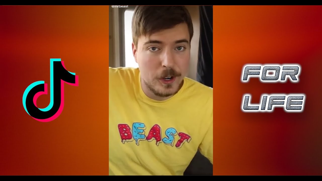 Mr Beast Tiktok Compilations 2020 Youtube