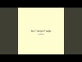 Sky Tranquil Fragile