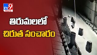 సీసీటీవీ కెమెరాకు చిక్కిన చిరుత సంచారం - TV9