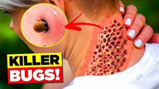 10 Deadly INSECTS You Should Never Touch!