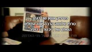 יעקב סיני ולהקת ג'אמאיה - זה קרה