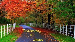 Christian Kannada Testimony || Knowing the Truth ||