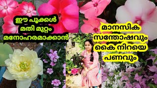 ഇതൊക്കെ ചെയ്താൽ മതി നമ്മുടെ ജീവിതം ഇരട്ടി സന്തോഷം||gardening malayalam