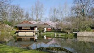 Spring in the EU biggest Japanese garden in Hasselt (2017)