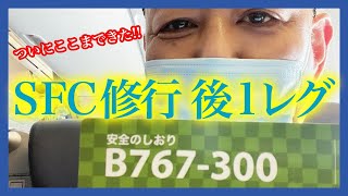 【SFC修行】初めて飛行機酔いと戦う辛さ