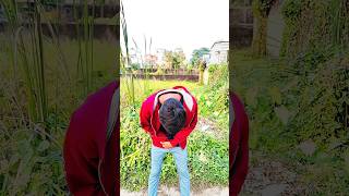 এটা সেই ছিলো🤣#shorts#viralshorts #funnyshorts #youtbeshorts #trendingshorts