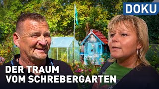 The dream of the allotment garden | docu | experience hesse