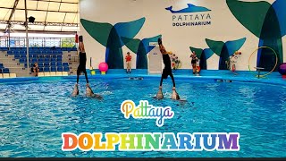 Pattaya Dolphinarium|| Must see Pattaya || Thailand’s Best Dolphinarium || Live Dolphin and Seal ||