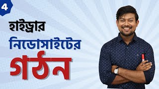 4. হাইড্রার একটি আদর্শ নিডোসাইটের গঠন। নিডোসাইট vs নেমাটোসিস্ট। Cnidocyte vs Nematocyst