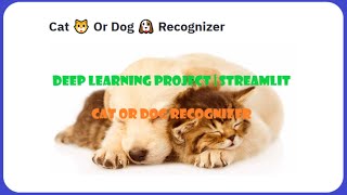 Cat Or Dog Prediction | Deep Learning Project | Streamlit | Web Application