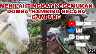 MENILAI TINGKAT KEGEMUKAN SEEKOR DOMBA ATAU KAMBING SECARA GAMPANG