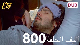 أليف الحلقة 800 | دوبلاج عربي