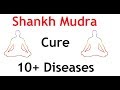 Important Hand Mudra | Shankh Mudra | Cure 10+ Diseases