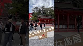 伏見稲荷3 #京都 #春 #神社