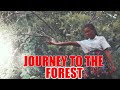 JOURNEY TO THE FOREST FULL MOVIE