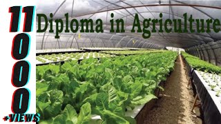 DIPLOMA IN AGRICULTURE FULL DETAILS| AGRICULTURAL COURSES|CAREER \u0026 JOBS|SYLLABUS|TOP COLLEGES|SCOPE