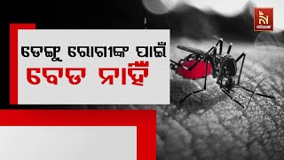 ବାଲେଶ୍ବରରେ ବଢୁଛି ଡେଙ୍ଗୁ ଆକ୍ରାନ୍ତଙ୍କ ସଂଖ୍ୟା, ମେଡିକାଲରେ ବେଡ ଅଭାବ ଥିବାରୁ ତଳେ ଶୋଇ ଚିକିତ୍ସିତ ହେଲେ ରୋଗୀ |