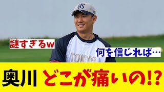 ヤクルト・奥川泰伸　登板回避も元気の姿に謎が膨らむ・・・【野球情報】【2ch 5ch】【なんJ なんG反応】【野球スレ】