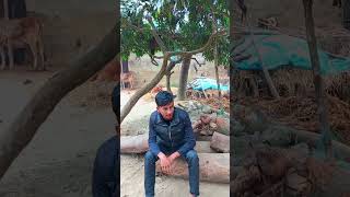 আলহামদুলিল্লাহ এই মাসে 5 জুম্মা। #viralshort #trending #shortvideos