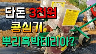 단돈 3천원으로 쉽고 빠르게 콩 심기! 콩심는 시기와 방법! 메주콩심기 뿌리혹박테리아가 다수확 비결