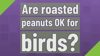 Are roasted peanuts OK for birds?