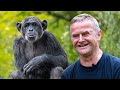 Chimp Eden - The Jane Goodall Institute | Volunteer Reviews