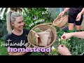 Saving Seeds for future food and creating a self-sufficient homestead