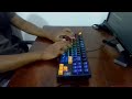 Jedel WKL 102 - 88 keys Typing Test and All Color | 75% Layout | Blue Switch | Budget