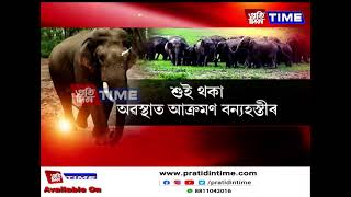 হাতী-মানুহৰ সংঘাত ৰোধত চূড়ান্তভাৱে ব্যৰ্থ ৰাজ্যৰ বিয়াগোম বন বিভাগ।