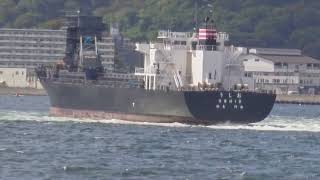 うしお、日本郵船石炭運搬船　JERA横須賀火力.アスターンでの離桟🌊