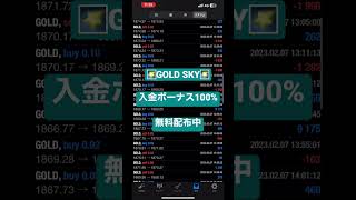 💹運用実績:2023年2月7日 🌠GOLD SKY🌠FX 自動売買 GOLD EA 副業 投資