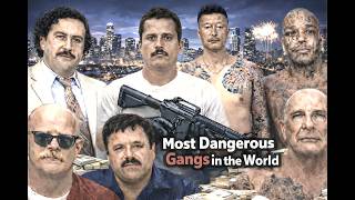 Secret Files: How Do Gangs Control the World in the Shadows? Shocking Facts!