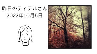 昨日のティテルさん　2022年10月5日