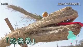 500年前から伝わる南あわじ市の奇祭　無病息災と豊作願う「蛇供養」