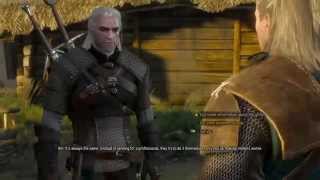 Witcher 3 PS4 Gameplay Part 2