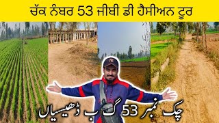 Life at Chak No.53 GB Dhisian |ਚੱਕ ਨੰਬਰ 53 ਜੀਬੀ ਢੀਸੀਆਂ ਵਿਖੇ ਜੀਵਨ |Chicken Farms |Amrud Garden |Vlog