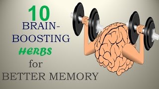 10 Brain-Boosting Herbs for Better Memory - Nature Care 2017