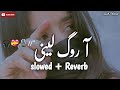 Aa Rog Lae Nee آ روگ لینی | Slow Reverb | Zeeshan Rokhri | Deedar | New Saraiki Song #zeeshanrokhri