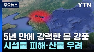 [날씨] 5년 만에 초속 20~30m 봄 강풍...시설물 피해·대형산불 우려 / YTN