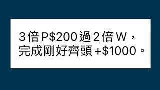 【香港賽馬】2023年3月1日心水提供｜過關攻略(輕輕鬆鬆賺5倍利潤)