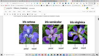 Prediction using Unsupervised Machine Learning on Iris Dataset
