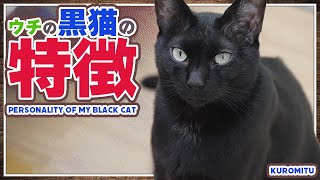 ウチの黒猫の特徴とは