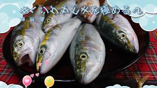 ＃8 ジグサビキを極める-2 (サーフから40cm UPの青物を釣ります)