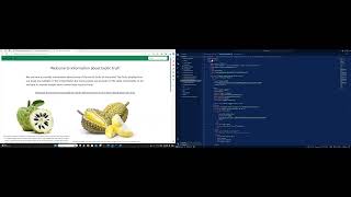 Week 3 Bootstrap Project Video