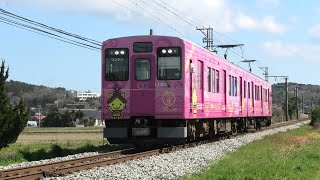 【元東急1000系】一畑電車1000系1003F(ご縁電車しまねっこ号Ⅱ)  出雲大社前行 雲州平田～布崎通過【4K】