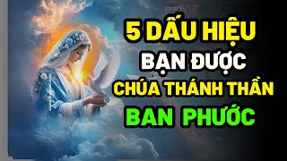 5 Dấu Hiệu Cho Thấy Bạn Được Chúa Thánh Thần Hướng Dẫn và Đánh Dấu | Cầu Nguyện Cùng Mẹ Maria