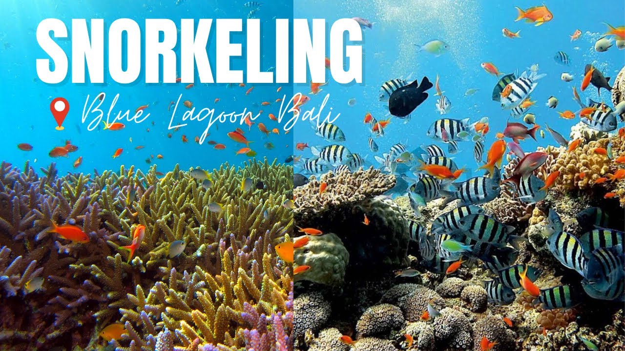 Snorkeling Blue Lagoon Bali - Unveiling The Hidden Wonders Of Padang ...