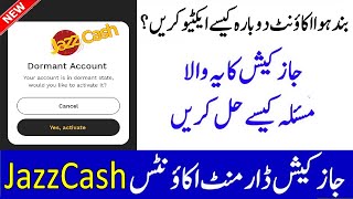 Activate JazzCash Dormant Account | Jazz Cash Dormant Account Problem and Solution 2025