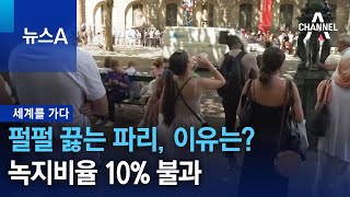 [세계를 가다]펄펄 끓는 파리, 이유는?…녹지비율 10% 불과 | 뉴스A